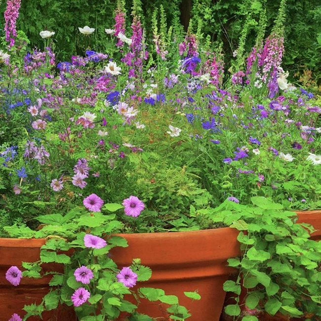 Corner Flower Bed With Stacked Clay Pots