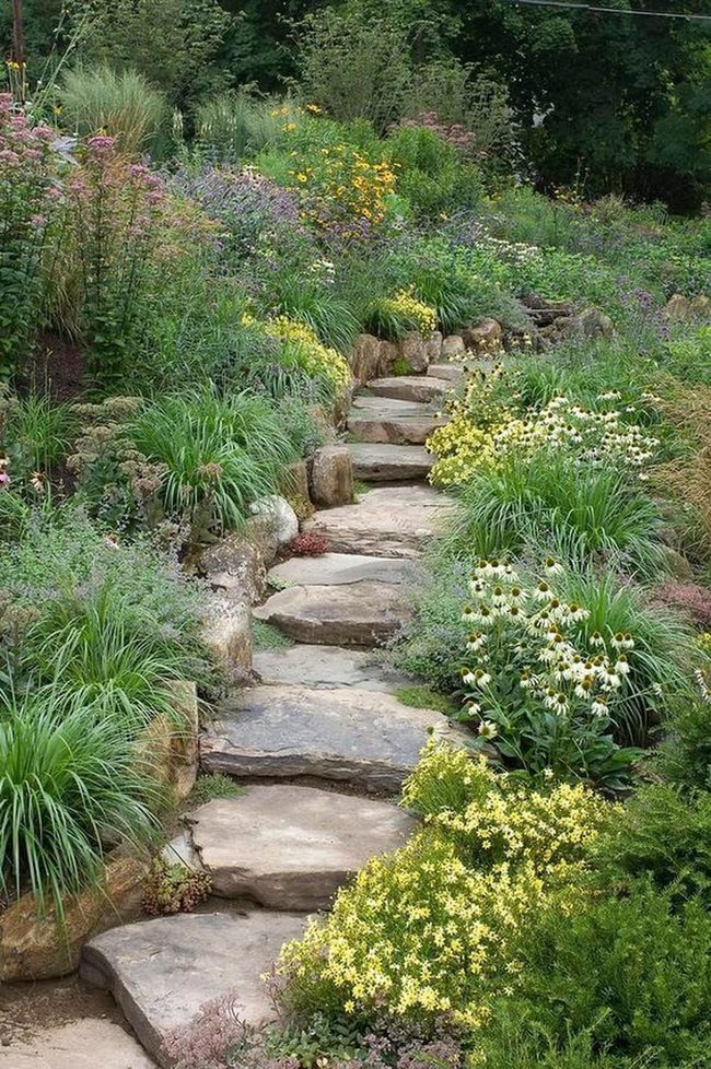 Winding Stone Path Through Blooms