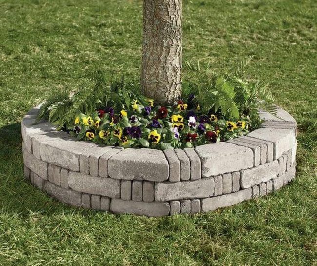Central Tree With Blooming Ring Garden