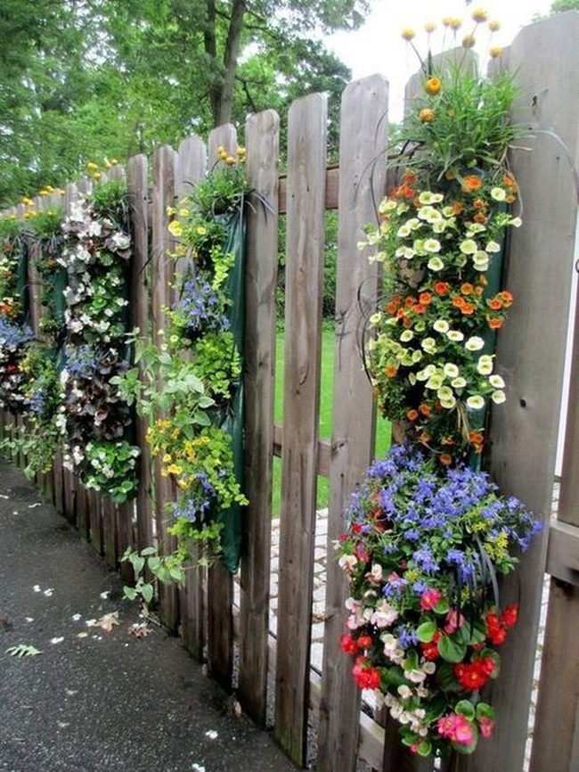 Flowers Cascading Along Wooden Fences