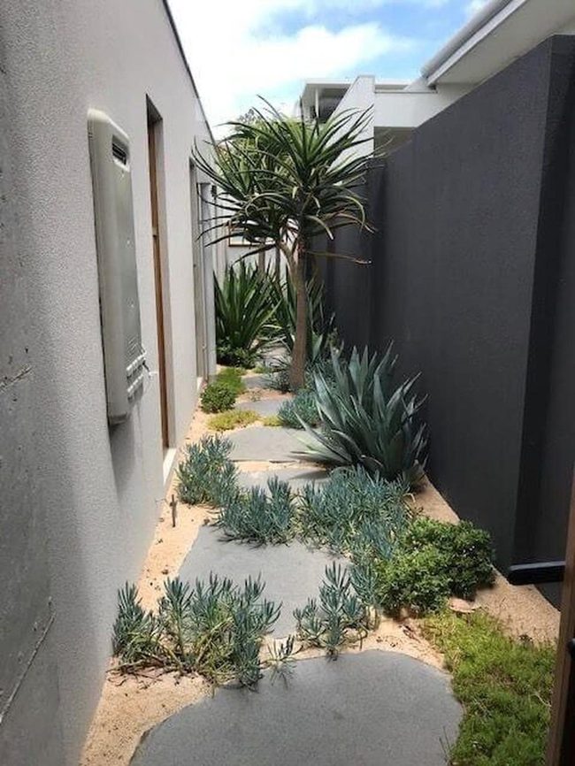 Stone Pathway Through Desert Gardens