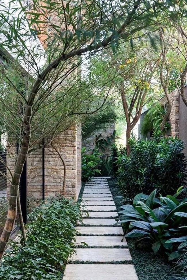 Winding Stone Path Through Green