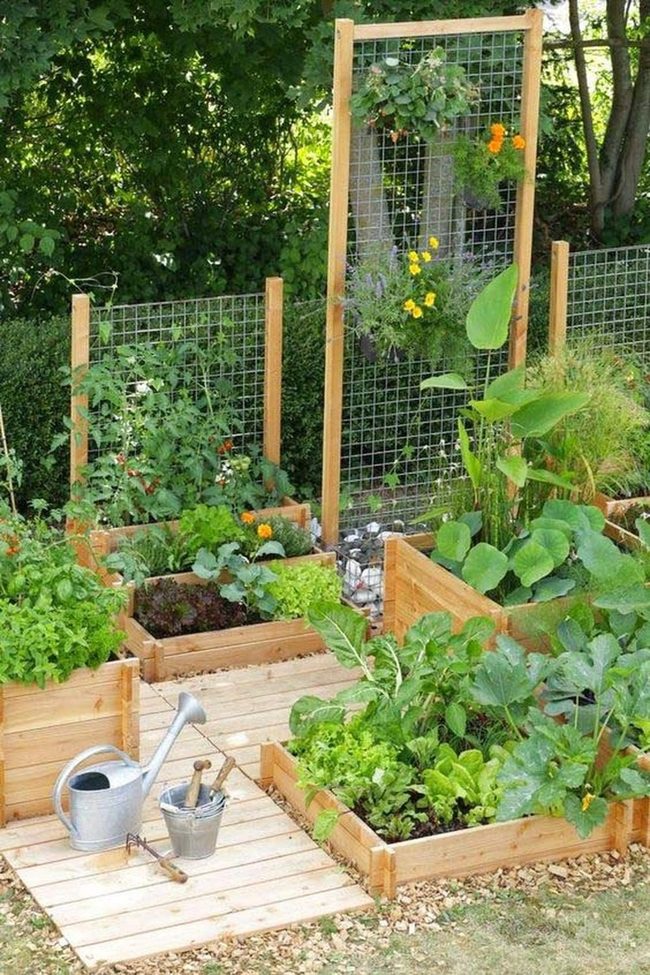 Vertical Garden Vegetables Climb High