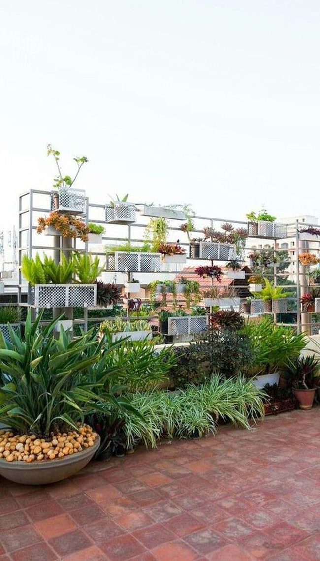 Metal Frame Vertical Garden Systems