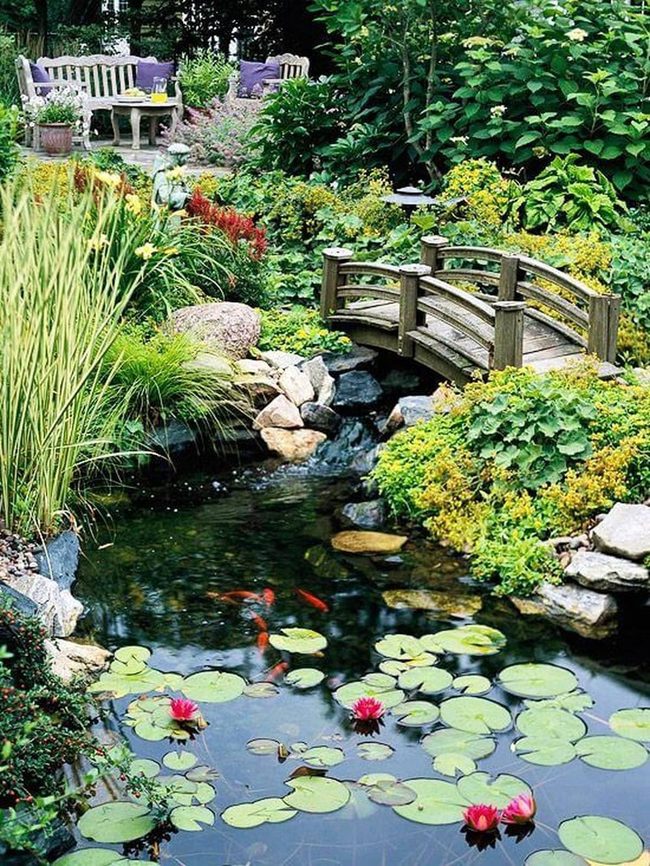 Koi Pond With Wooden Bridge Garden