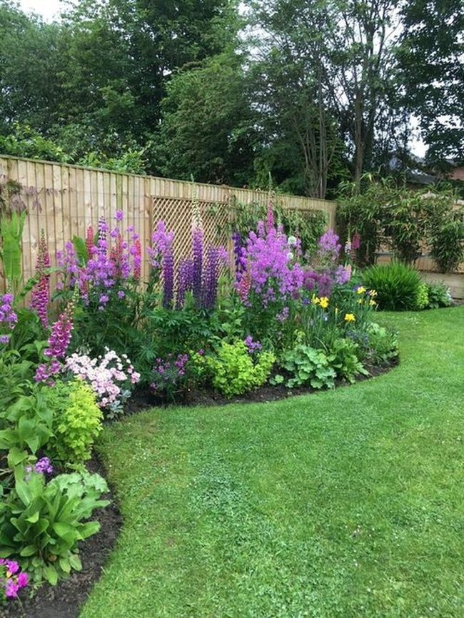 Purple Perennials Frame Your Entrance