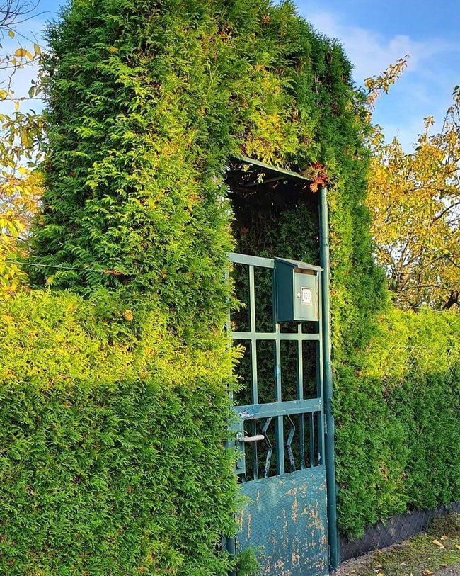 Verdant Gates, Weathered Metal