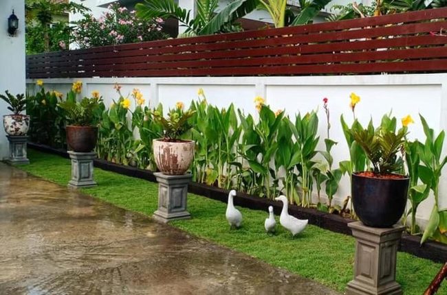 Modern Garden Structure With Flowers