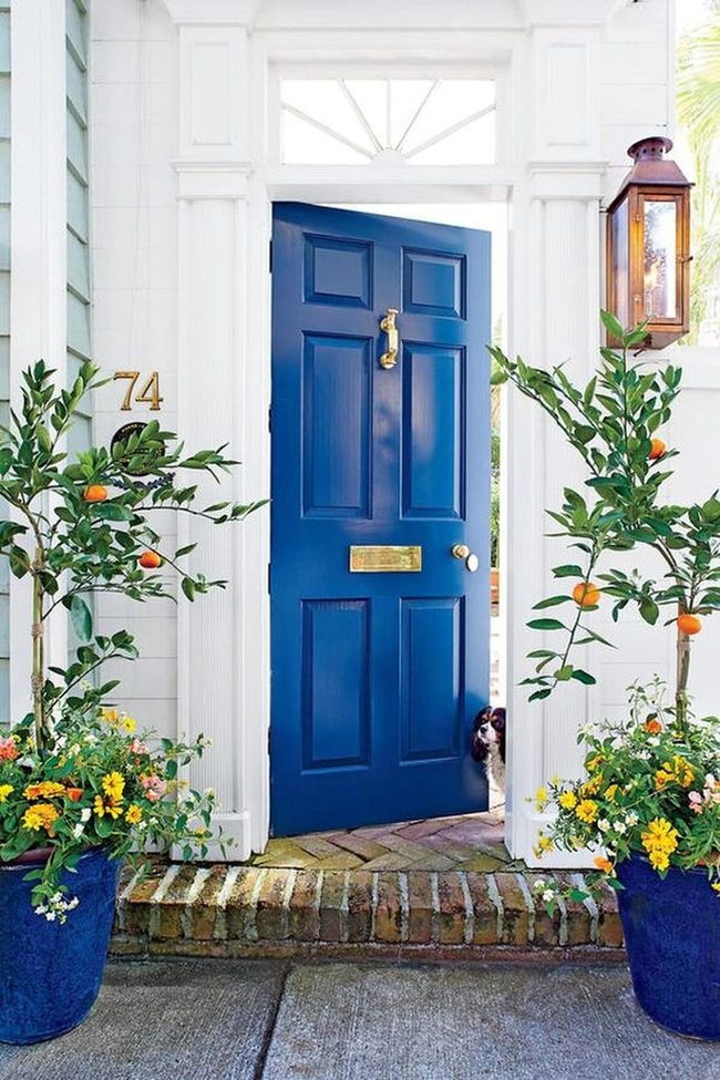 Blue Door With Citrus Plants And Brass Accents