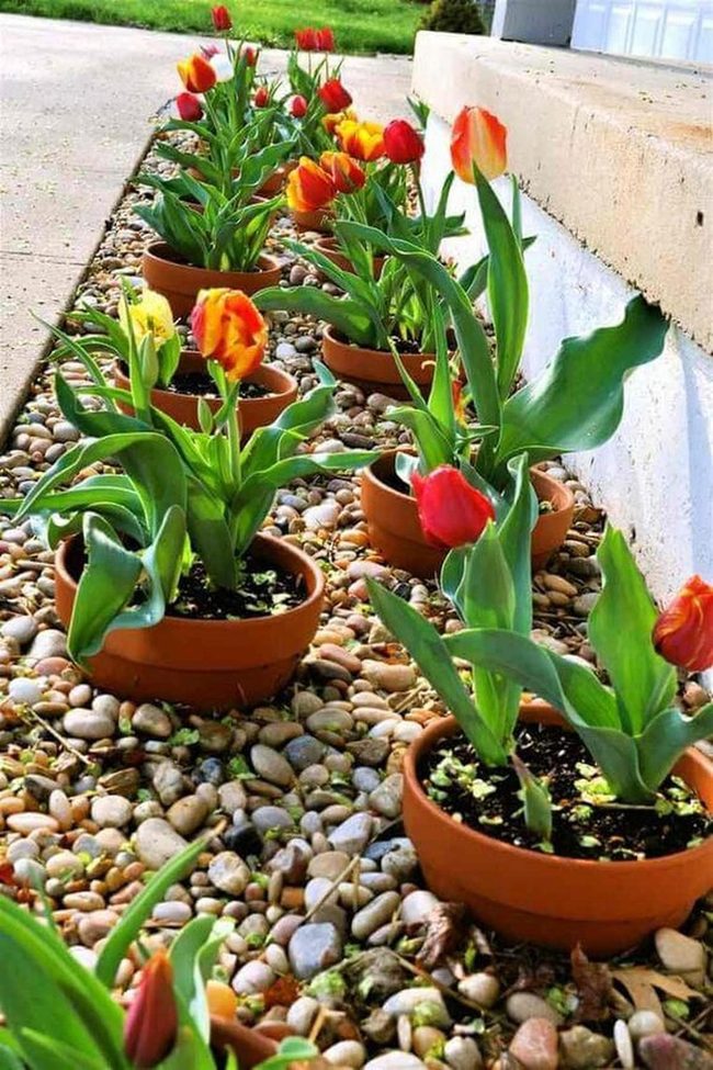Layered Garden With Stone Anchors
