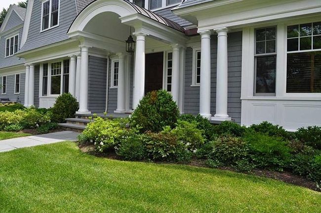 Evergreen Shrubs For Year-Round Gardens
