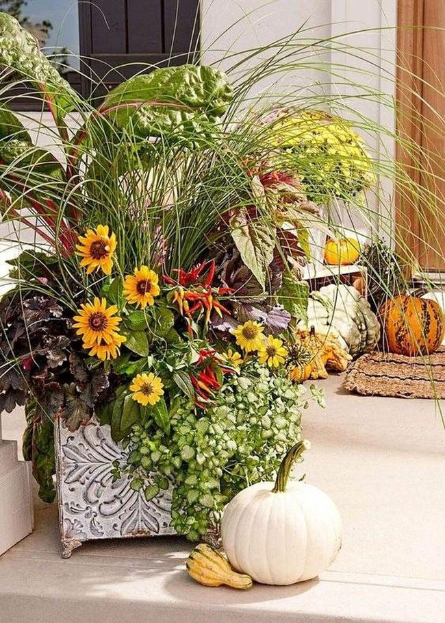 Golden Sunflowers, Peppers, Layered Greens