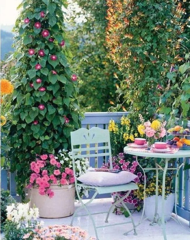Green Vines, Blooming Flowers, Blue Chair