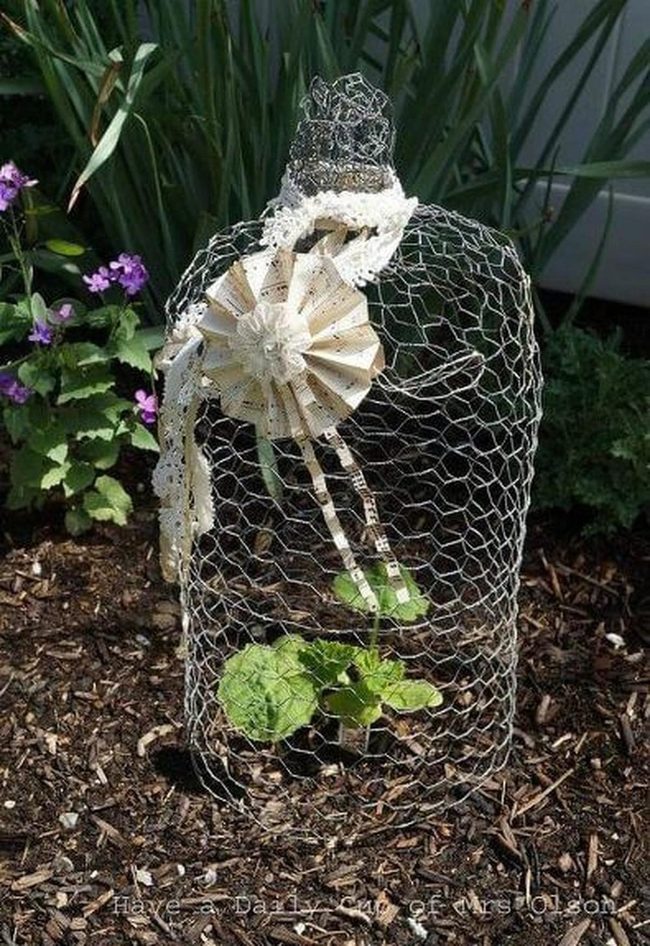 Clear Dome Garden Shield