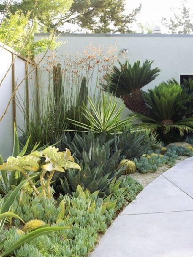 Green Succulents, White Minimalism, Concrete Paths
