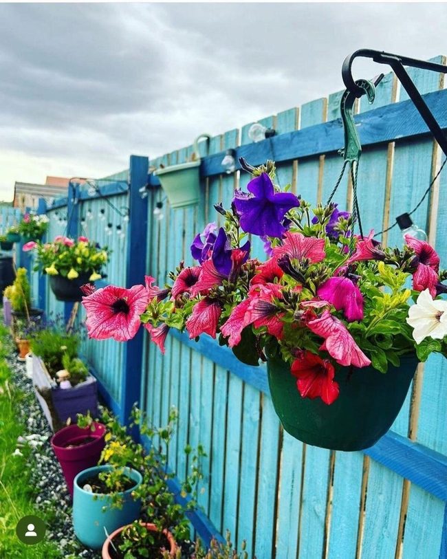 Vertical Flowers Brighten Bare Walls