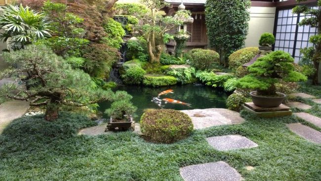 Koi Pond Garden Oasis