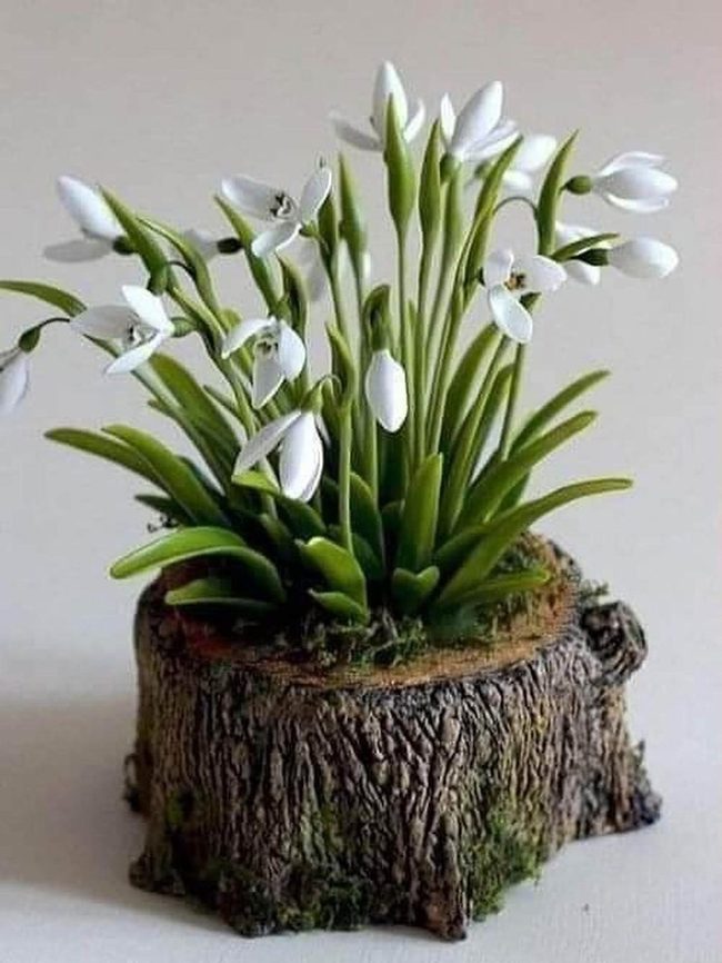 Tree Stump Garden With White Flowers