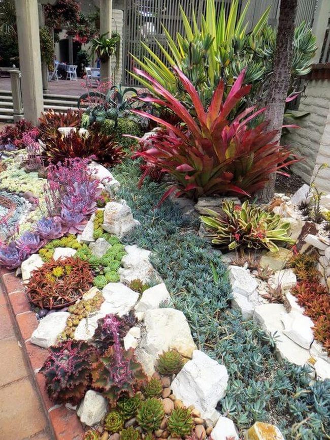 Low Maintenance Succulent Porch Display