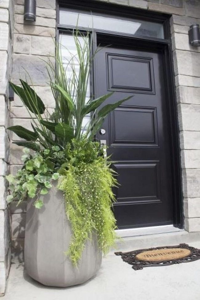 Black Door With Living Green