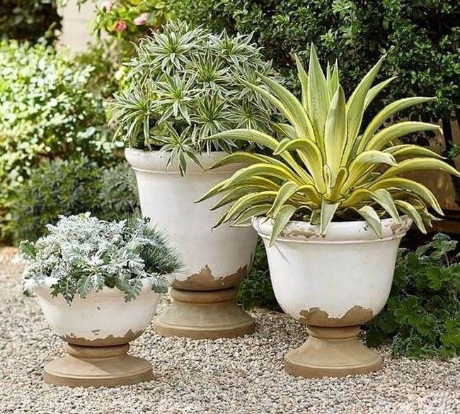 Earthy Planters Green Garden Display