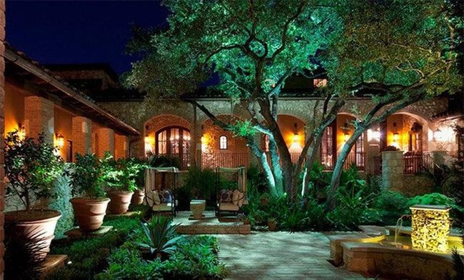 Glowing Tree Nook Under Stars