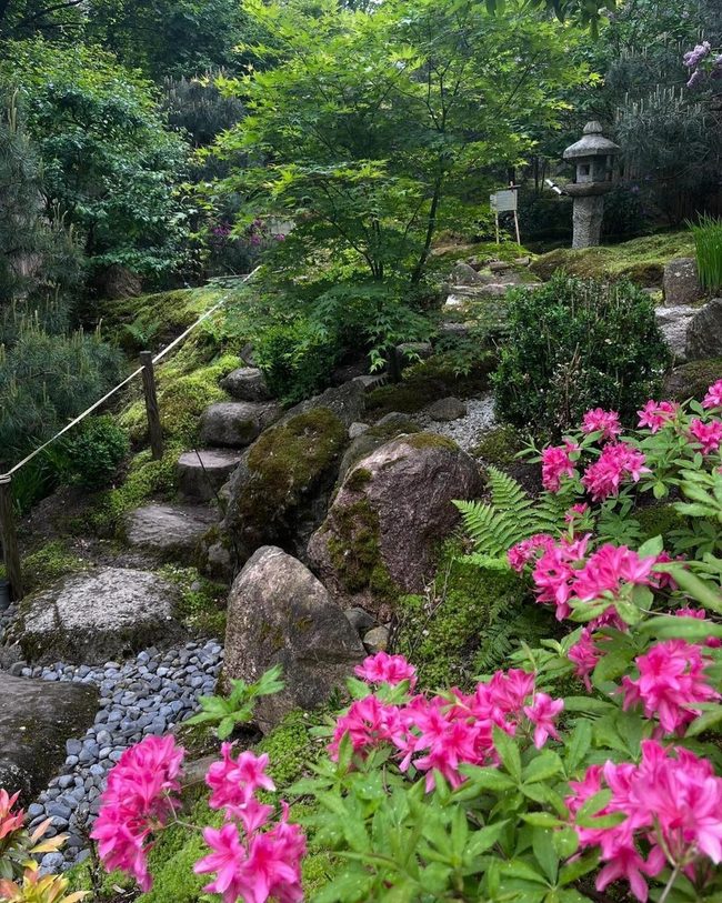Wildflowers Meet Mossy Green Paths