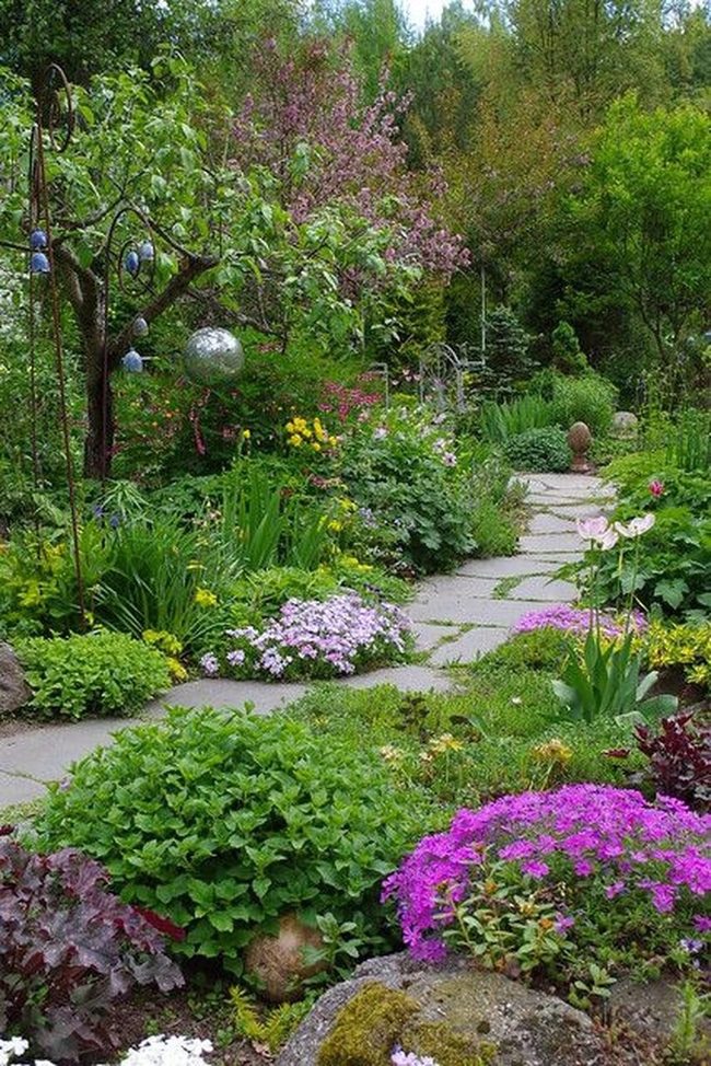 Pink Blossoms Over Stone Paths