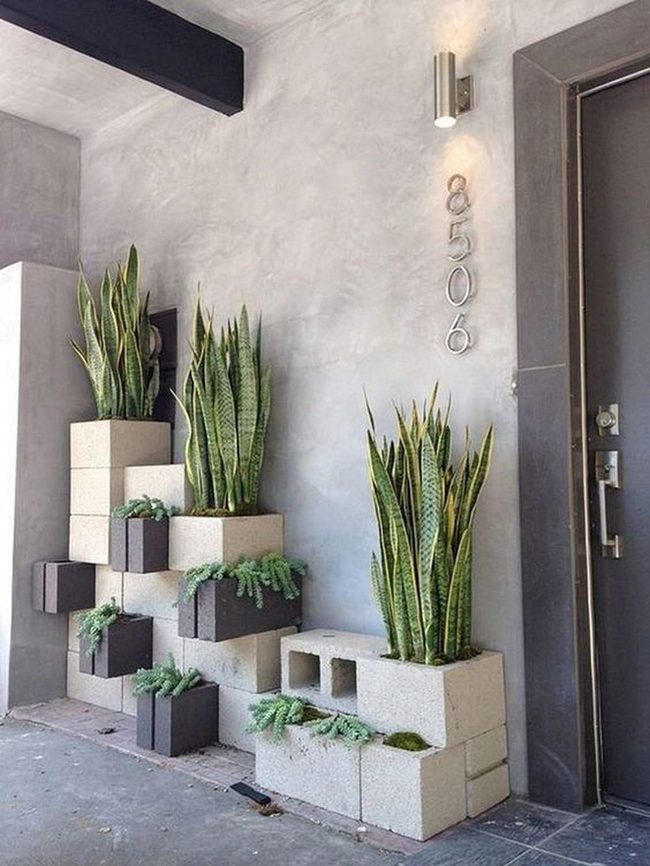 Gray Concrete Meets Living Green