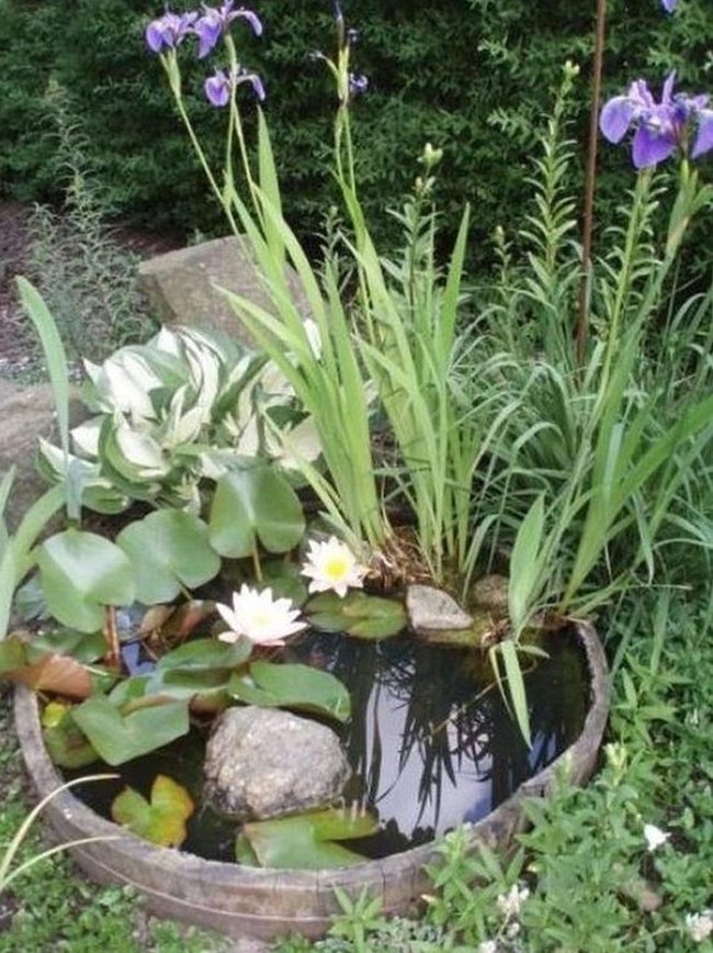 White Lilies Among Purple Blooms
