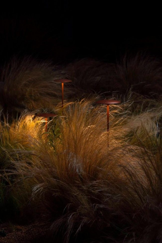 Golden Desert Garden At Dusk