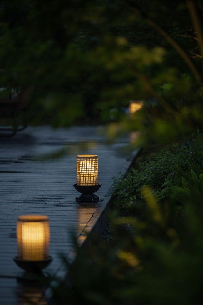 Gentle Pathway Lights Through Garden