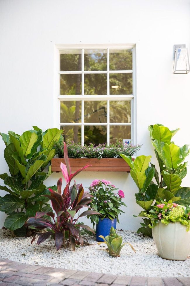 Compact Container Garden Success