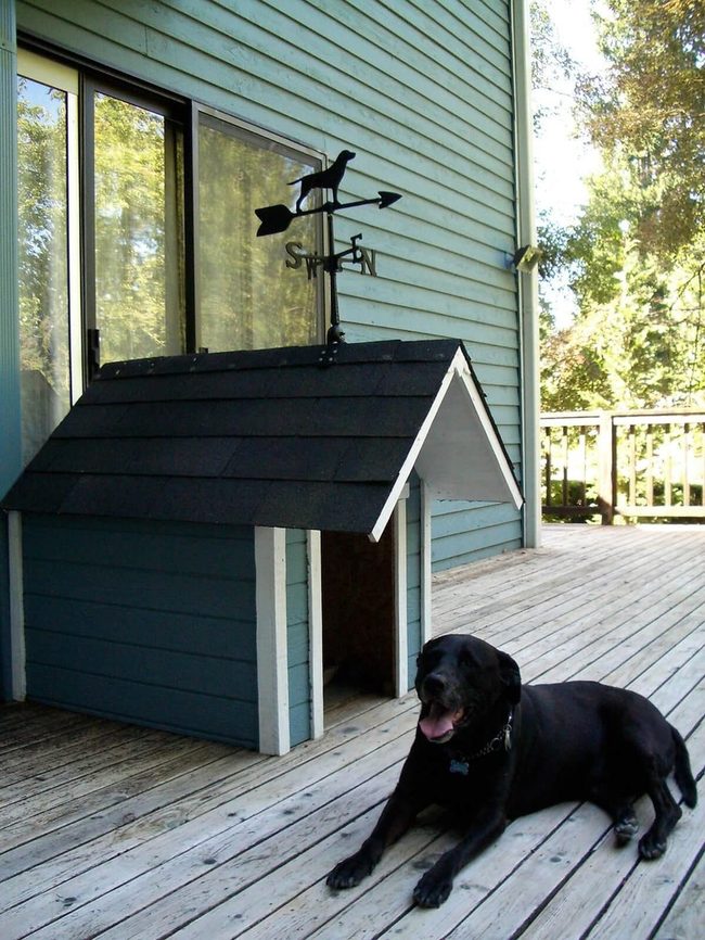 Attached Dog House Keeps Paws Clean