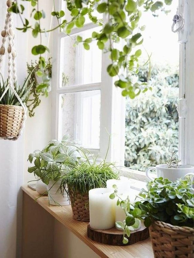 Hanging Gardens With Soft Wood Shelves