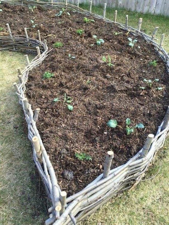 Woven Branch Garden Border