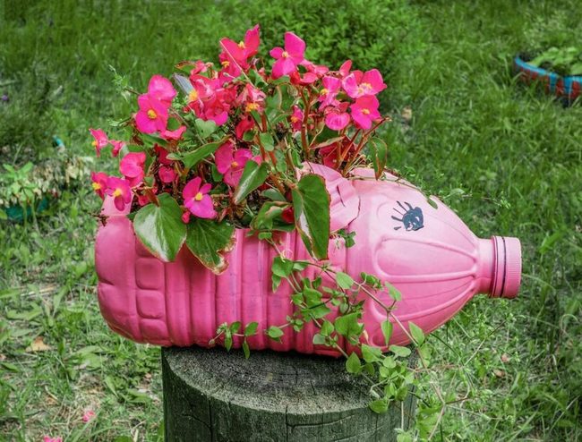 Pink Plastic Bottle Planters