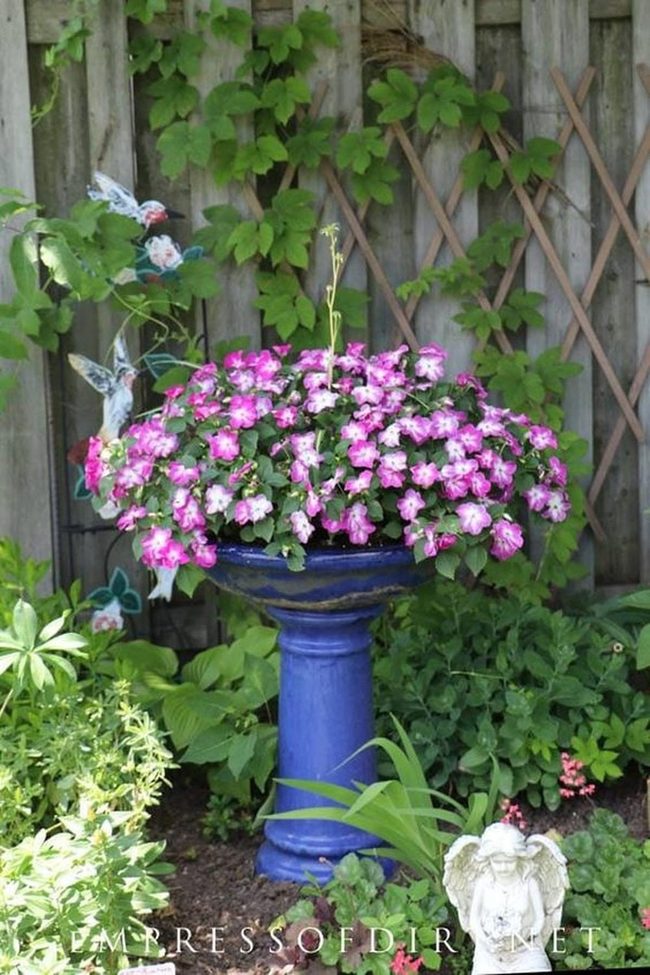 Bright Blue Planter Pink Flowers