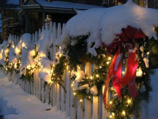 Snow-Dressed Fence With Crimson Bow
