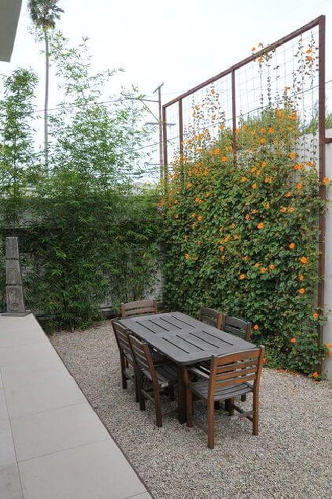 Garden Walls, Wooden Table, Lights