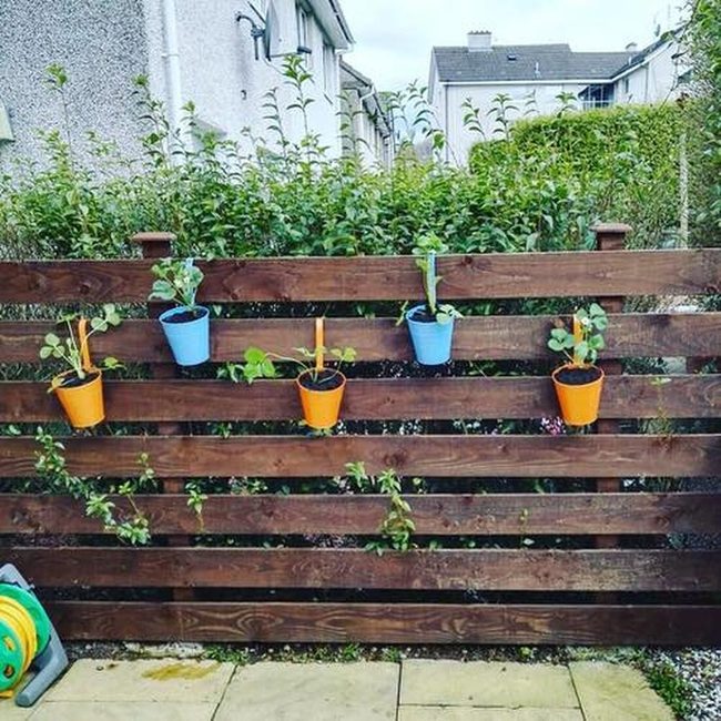 Potted Plants Transform Fence Lines
