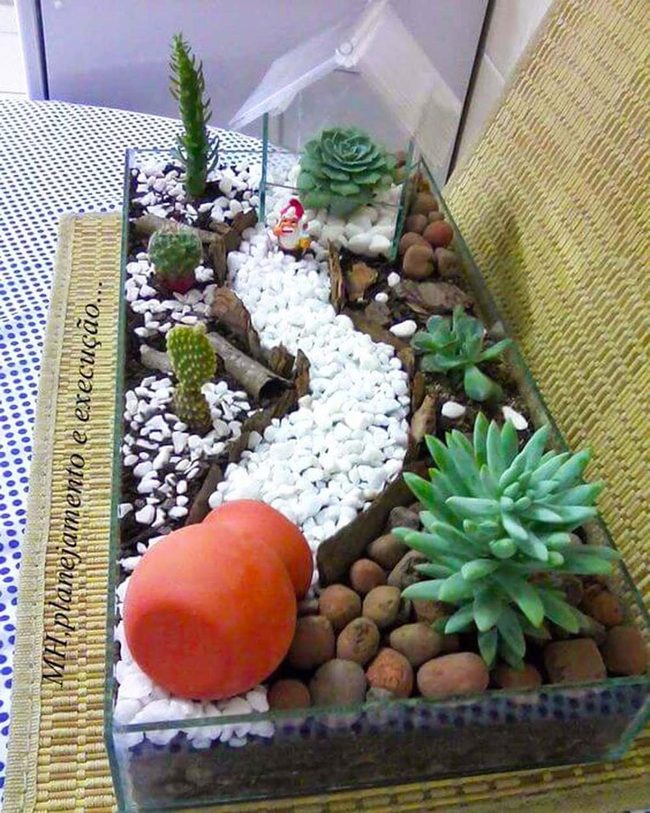 Glass Desert Terrarium With Succulents