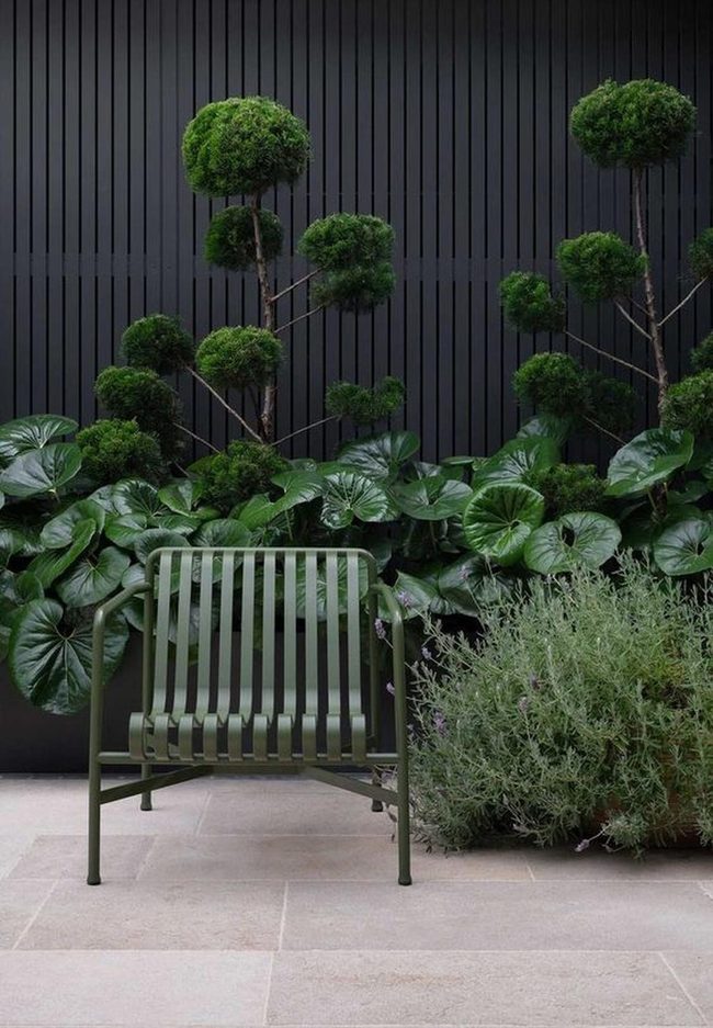 Dark Wood Meets Living Green