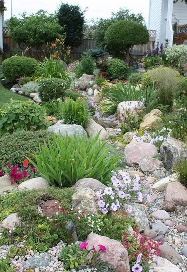 Orange Blooms Frame Garden Path