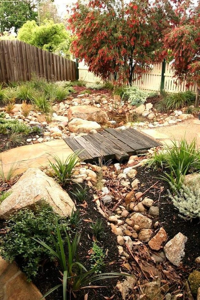 Stone Pathways Through Native Plants