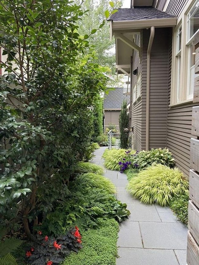 Purple Flowers Through Shaded Garden Path