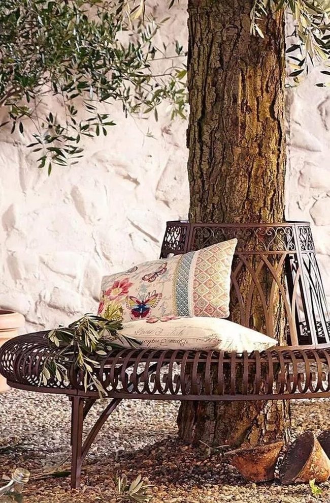 Metal Bench Curves Around Living Tree