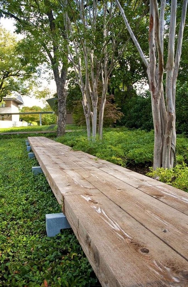 Wooden Benches Under Dappled Shade
