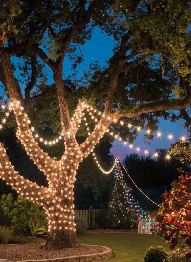 Golden String Lamps Through Trees
