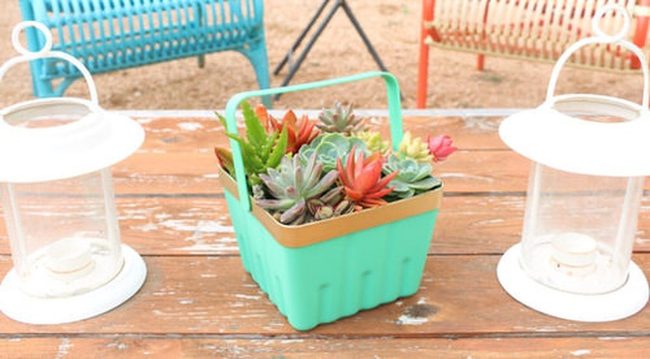 Weathered Wood Succulent Baskets